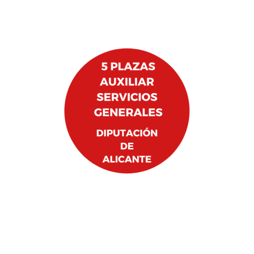 5 AUXILIARES DE SERVICIOS DIPUTACIÓN DE ALICANTE ED. 2024