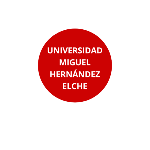 UNIVERSIDAD MIGUEL HERNÁNDEZ ESTATUTOS