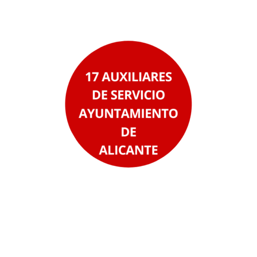 17 Auxiliar de servicios Ayuntamiento de Alicante