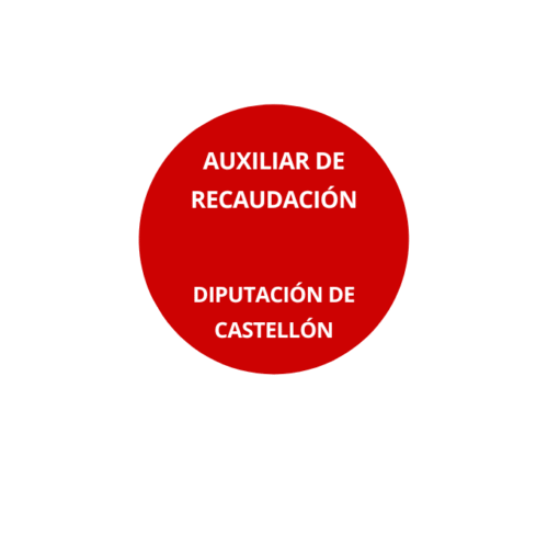 Auxiliar de Recaudación Diputación Castellón